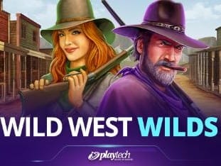 Wild West Wilds game icon
