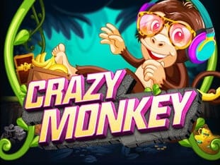 Crazy Monkey game icon